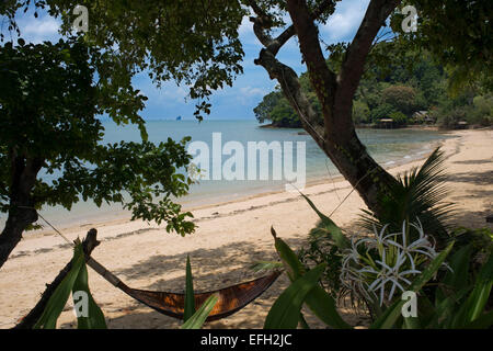 Einer der Strände von Ko Yao Noi. Hängematte am Strand von Paradise. Thailändischen Inseln im Ao Phang-Nga Marine Nationalpark, in dem Andam Stockfoto