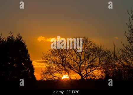 Cardiff, Wales, UK. 4. Februar 2015. UK-Wetter: Sonnenuntergang in North Cardiff nach einem bitterkalten Tag. Eisige Temperaturen und klarem Himmel dürften für heute Abend. Bildnachweis: Chris Stevenson/Alamy Live-Nachrichten Stockfoto