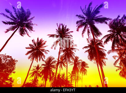 Palmen-Silhouetten am tropischen Strand bei Sonnenuntergang. Stockfoto