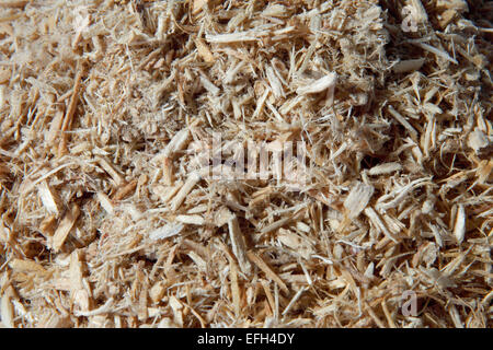 Forstwirtschaftliche Abfälle Holzwolle für Biomasse Stockfoto
