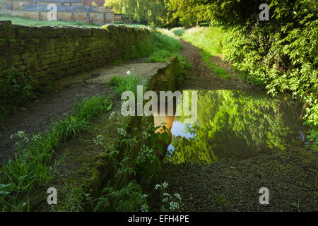 Neben einem steinernen Steg über einen flachen Bach auf einem Feldweg und Maultierweg kurz nach Sonnenaufgang am Harlestone in Northamptonshire, England Stockfoto