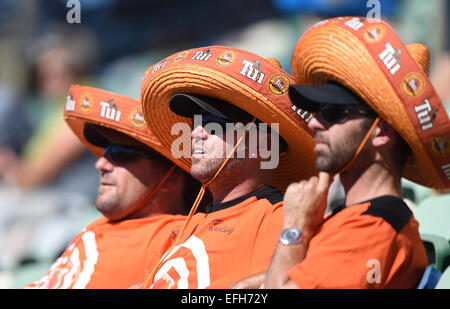 Napier, Neuseeland. 3. Februar 2015. TUI-Fans. ANZ eintägigen internationalen Cricket Series. Spiel 2 zwischen Neuseeland schwarzen Kappen und Pakistan im McLean Park in Napier, Neuseeland. © Aktion Plus Sport/Alamy Live-Nachrichten Stockfoto