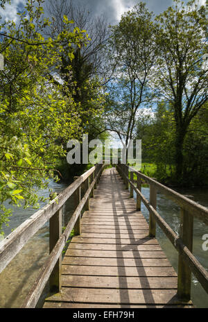 Eine hölzerne Fußgängerbrücke oder ein Gehweg durchquert einen weiten Abschnitt des River Test von Wherwell nach Chilbolton Cow Common, Test Valley, Hampshire, England Stockfoto