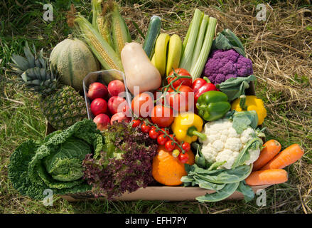 Eine Schachtel mit Bio-Gemüse (Gemüse Box) bereit für Hauszustellung auf der Farm in Somerset, wo sie angebaut wurden. Stockfoto