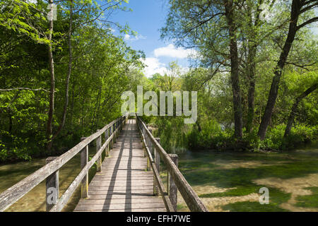 Eine hölzerne Fußgängerbrücke oder ein Gehweg durchquert einen weiten Abschnitt des River Test von Wherwell nach Chilbolton Cow Common, Test Valley, Hampshire, England Stockfoto