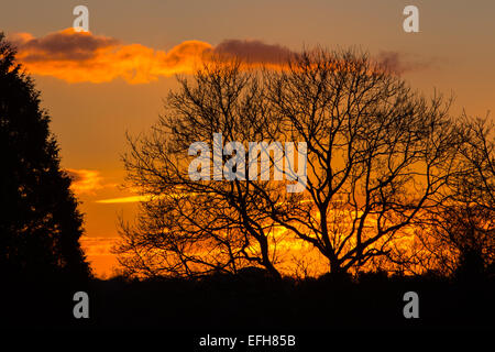 Cardiff, Wales, UK. 4. Februar 2015. UK-Wetter: Sonnenuntergang in North Cardiff nach einem bitterkalten Tag. Eisige Temperaturen und klarem Himmel dürften für heute Abend. Bildnachweis: Chris Stevenson/Alamy Live-Nachrichten Stockfoto