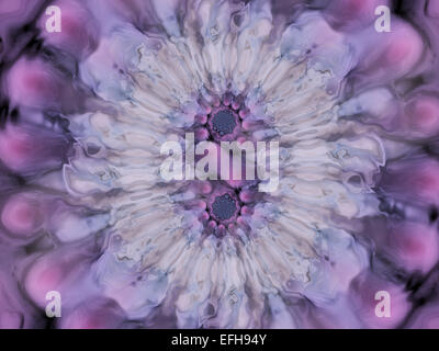 Bunte Blume Form abstrakte digitale form Stockfoto