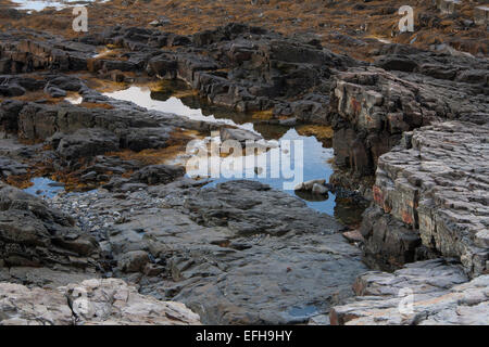 Bar Harbor, ME-6. September 2014: Der blaue Himmel spiegelt sich in den Gezeiten-Pools von Ebbe zurückgelassen. Stockfoto