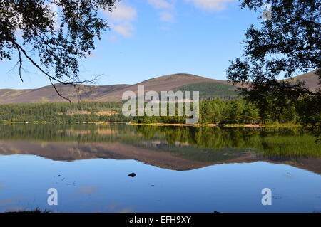 Loch Morlich, Glenmore, Aviemore, Schottland Stockfoto