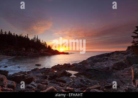 Sonnenaufgang am kleinen Jäger Strand, Acadia National Park, Maine, USA Stockfoto