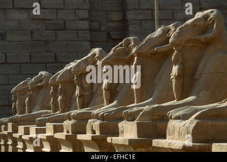 Reihe von Sphinxen führt zu den Bezirk des Amun in Karnak Tempel, Luxor, Ägypten Stockfoto