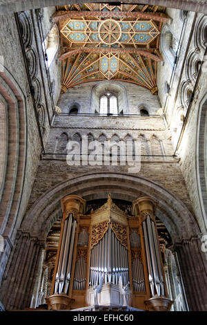 St Davids Cathedral (Welsh Eglwys Gadeiriol Tyddewi), befindet sich in St. Davids in der Grafschaft Pembrokeshire-Orgel Stockfoto