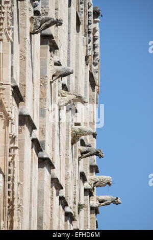 Wasserspeier in der Kathedrale von Palma De Mallorca, Spanien Stockfoto