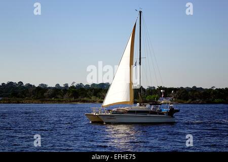 Katamaran Segelboot am Fluss Halifax Stockfoto