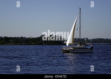 Katamaran Segelboot am Fluss Halifax Stockfoto