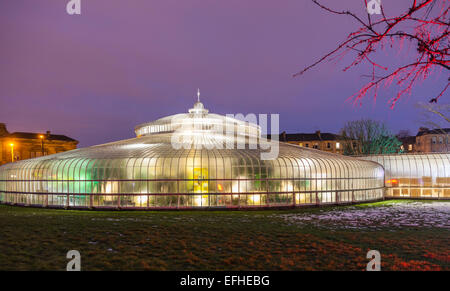 Der Kibble Palace leuchtet während der Elektrischen Gärten/Lux Botanicum, bei Glasgow Botanic Gardens von West End Festival organisiert Stockfoto