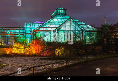 Beleuchtet die wichtigsten Bereich der Glasshouse: Die elektrische Gärten/Lux Botanicum, eine Veranstaltung in Glasgow Botanic Gardens von West End Festival organisiert Stockfoto