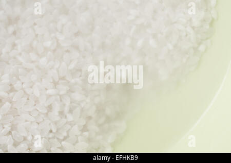 Waschen mit klarem Wasser in die Reisschale grün Stockfoto