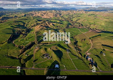 Fruchtbare, landwirtschaftlich genutzte Landschaft gebildet durch Vulkane, Bay of Plenty, Nordinsel, Neuseeland Stockfoto