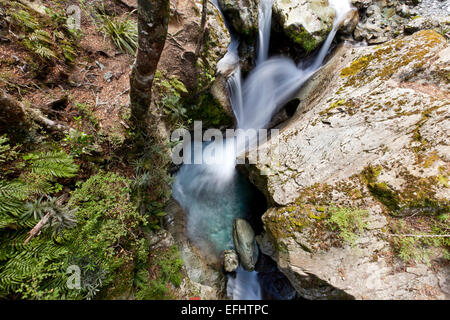Wasserfall fließt zwischen Felsen mit Moos und Lichten, Südinsel, Neuseeland Stockfoto