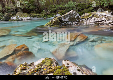 Türkisfarbenes, klares Gebirgswasser entlang der Routeburn Track, ein Great Walk, Südinsel, Neuseeland Stockfoto