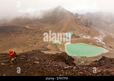 Wandern Sie durch Lavafelder und Kies, vorbei an türkisfarbenen Emerald Lakes, Tongariro Alpine Crossing, Tongariro National Park, North Isl Stockfoto