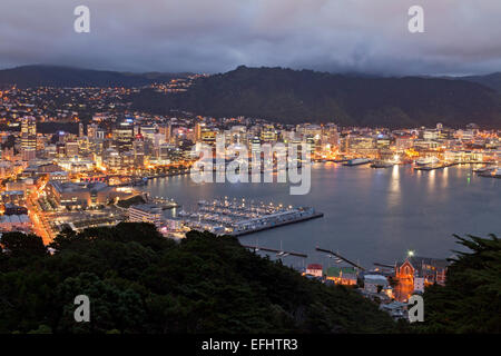 Nachtansicht der Hauptstadt Wellington vom Victoria Peak, Hafen, Wellywood, Wellington, Nordinsel Insland, Neuseeland Stockfoto