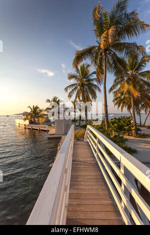 Holzbrücke führt zu Sandinsel, Hotel Resort Casa Morada, Islamorada, Florida Keys, Florida, USA Stockfoto