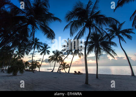 Strand bei Sonnenaufgang an Moorings Village Resort, Islamorada, Florida Keys, Florida, USA Stockfoto