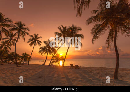 Strand bei Sonnenaufgang an der Moorings Village Resort, Islamorada, Florida Keys, Florida, USA Stockfoto