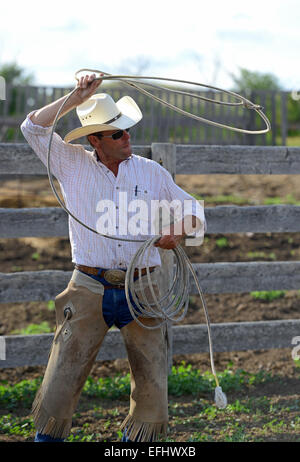 Cowboy mit Lasso, George Gaber, Besitzer von La Reata Ranch, Saskatchewan, Kanada Stockfoto