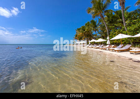 Strand mit Touristen, Little Palm Island Resort, Florida Keys, USA Stockfoto