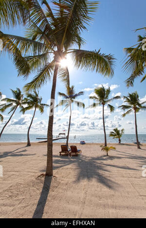 Strand mit hölzernen Steg an der Moorings Village Resort, Islamorada, Florida Keys, Florida, USA Stockfoto