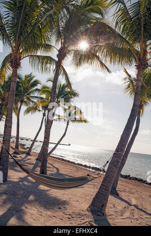 Strand mit Hängematte im Luxus Hotel Reach Resort, Key West, Florida Keys, USA Stockfoto