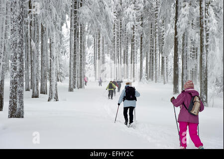 Langläufer in der Nähe von Hinterzarten, Schwarzwald, Baden-Württemberg, Deutschland Stockfoto