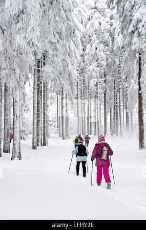 Langläufer in der Nähe von Hinterzarten, Schwarzwald, Baden-Württemberg, Deutschland Stockfoto