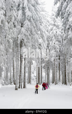 Langläufer in der Nähe von Hinterzarten, Schwarzwald, Baden-Württemberg, Deutschland Stockfoto