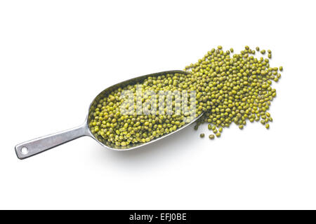 Mung Bohnen in Metall Kugel Stockfoto