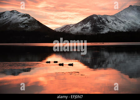 Sonnenuntergang über Causey Hecht und Derwentwater, englischen Lake District. Stockfoto