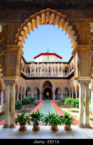 Hof in Real Alcazar, Sevilla Stockfoto