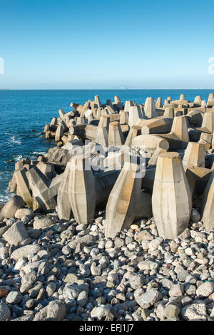 Verteidigung Betonblöcke an einem Pier, Cape Town, Südafrika Stockfoto