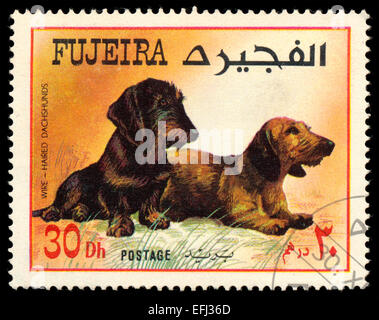 FUJEIRA - CIRCA 1980: Briefmarke gedruckt in Fujeira zeigt Hund Dackel, ca. 1972 Stockfoto
