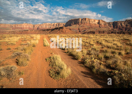 Marmor, Wohnung in der Nähe von Grand Canyon, Arizona, Südwesten der USA Stockfoto