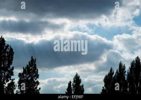 Sonnenstrahlen durchbrechen Gewitterwolken über Baumkronen Stockfoto