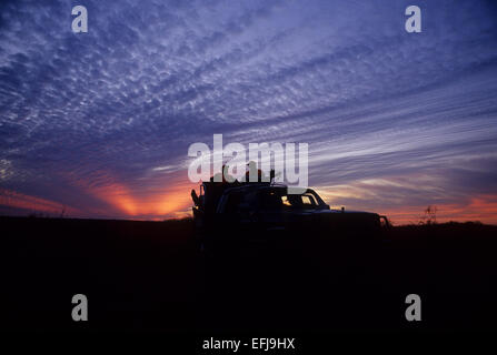Jäger bei Sonnenuntergang auf ihrer LKW während der Wachtel Jagd auf der King Ranch im Süden von Texas Stockfoto