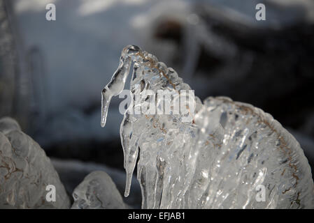 Gefrorenen Rasen am Rande des Alcock Tarn, englischen Lake District. Stockfoto