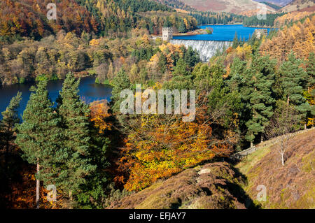 Herbstfärbung auf den Hügeln oberhalb von Derwent Reservoir im Peak District. Howden Damm umgeben von bunten Wald. Stockfoto