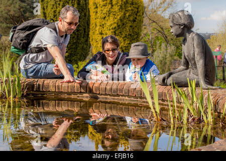 Eine Familie sitzt um einen Teich im Sommer Blick auf Insekten Stockfoto