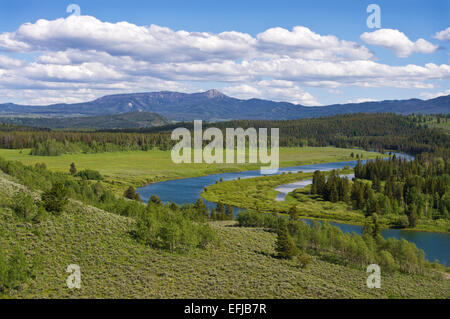 Biegen Sie in der Snake River, Grand-Teton-Nationalpark, Wyoming. Stockfoto