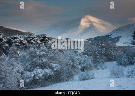 Winter-Ansicht der Ben More, Crianlarich, Highlands Stockfoto